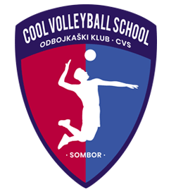 Cool Volleyball School